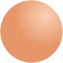 Image description is here